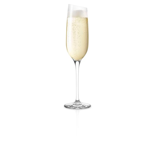 Champagne Weinglas - 20 cl - 2 Stück